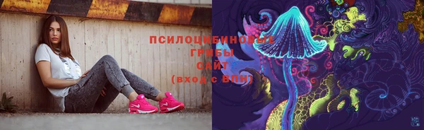 гашик Алексин