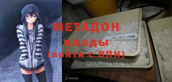 гашик Алексин