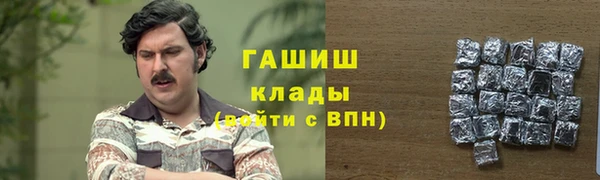 гашик Алексин