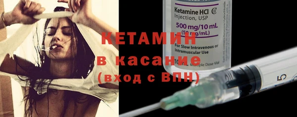 гашик Алексин