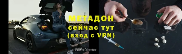 гашик Алексин