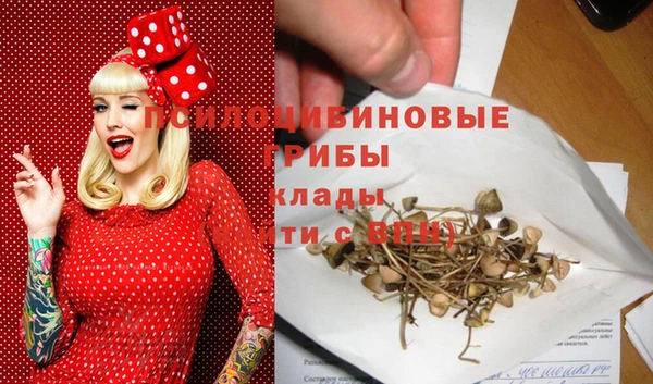 гидропоника Абаза
