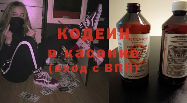 гашик Алексин