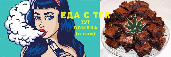 гашик Алексин