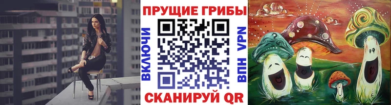 kraken ССЫЛКА  Игарка  Галлюциногенные грибы MAGIC MUSHROOMS 